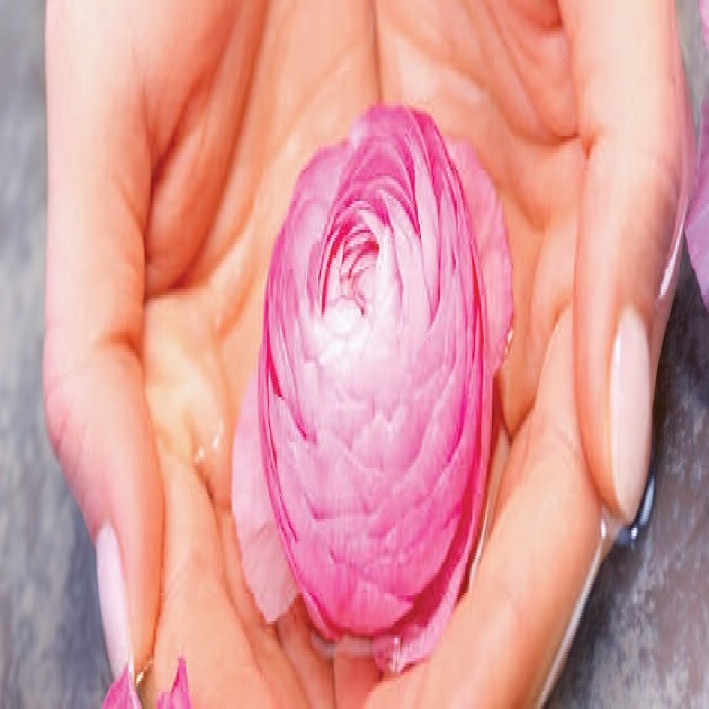 Armonia femminile
