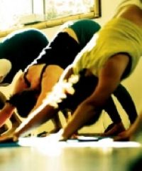 Yoga della Conoscenza