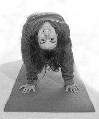 Albero Cosmico Centro Studi Yoga e Discipline Olistiche