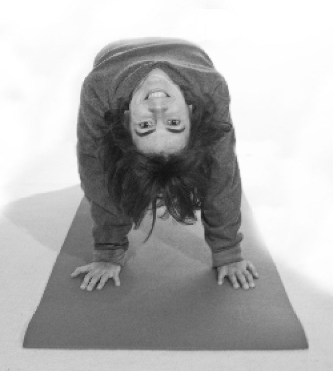 Albero Cosmico Centro Studi Yoga e Discipline Olistiche