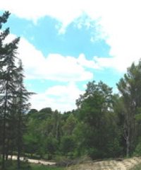 Yoga Vidya Ashram