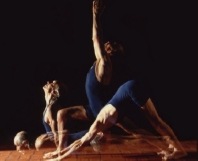FUTURE YOGA SCHOOL Mirano