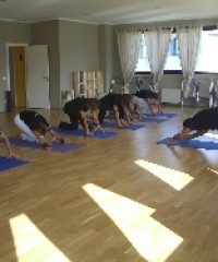 Studio Yoga Samgha