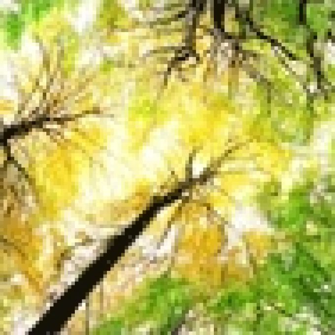 Associazione Solaris
