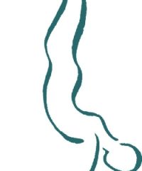 Ashtanga Yoga Valdarno