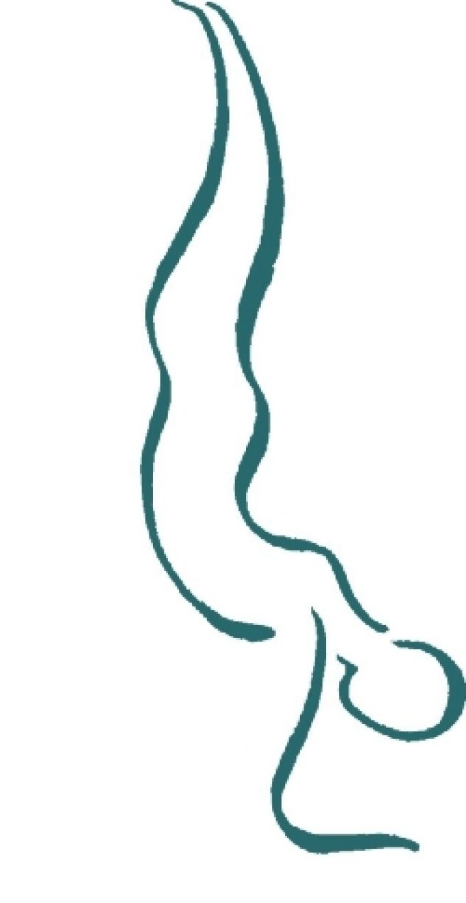 Ashtanga Yoga Valdarno