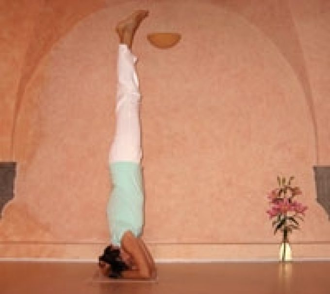 Sivananda Yoga Firenze, Centro Affiliato