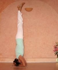 Sivananda Yoga Firenze, Centro Affiliato
