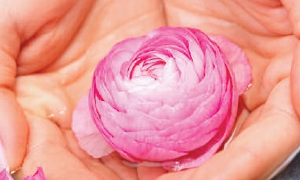 Armonia femminile