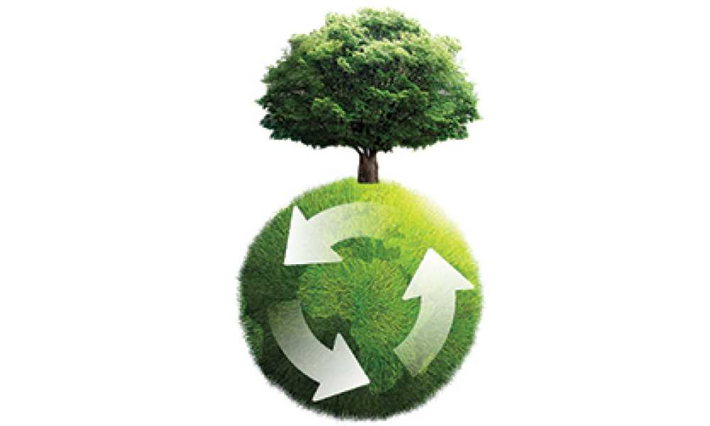 Permacultura, un nuovo modello di vita ecologicamente sostenibile