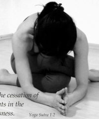 Yoga nelle Marche con Arely Torres di areyoga